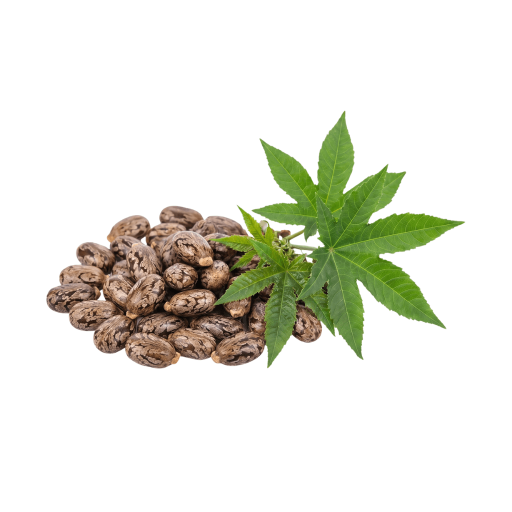 Castor Oil
