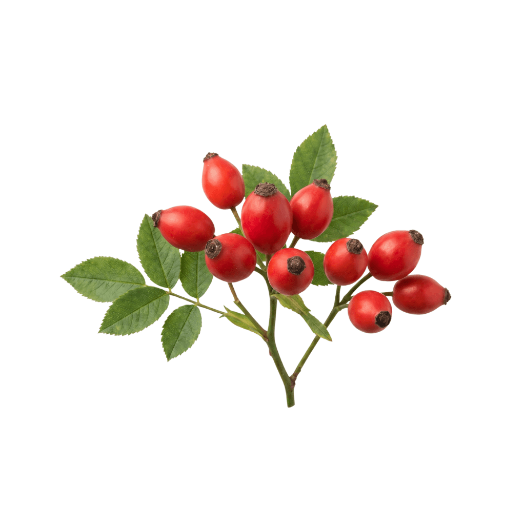 Rosehip Oil