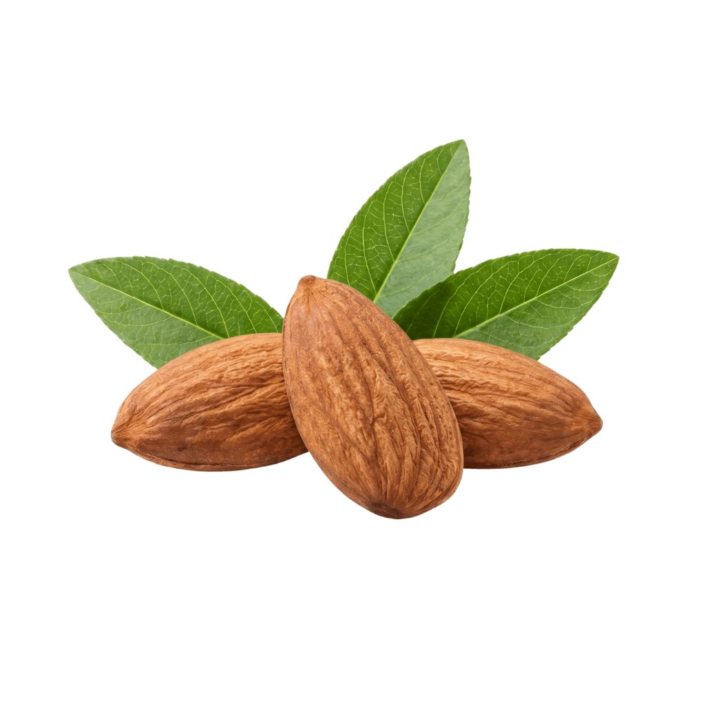 Sweet Almond Oil